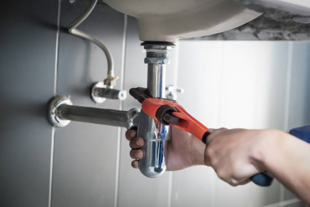 Best Clogged Drain Plumber  in Fern Park, FL